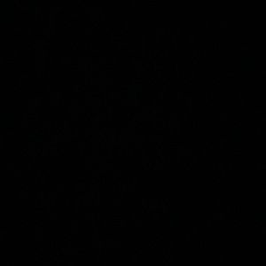 Meet your Posher, Alivia